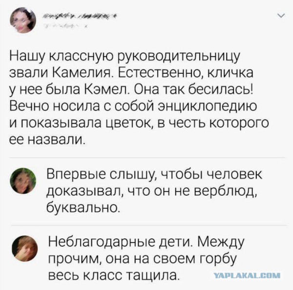 Картинки для деградации 101 (разной степени свежести)