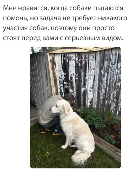 Воскресные картинки