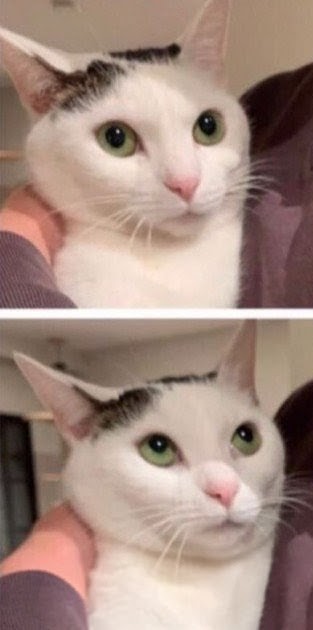 Сварные есть?