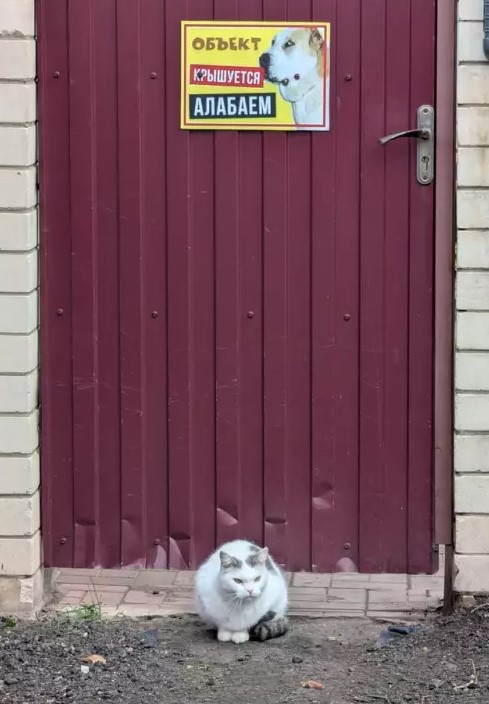 Пакет брать будете?