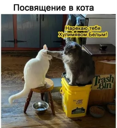Понедельника картинки