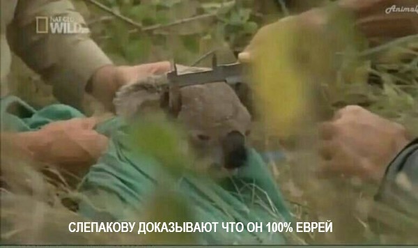 Так себе картинки 13.06.26