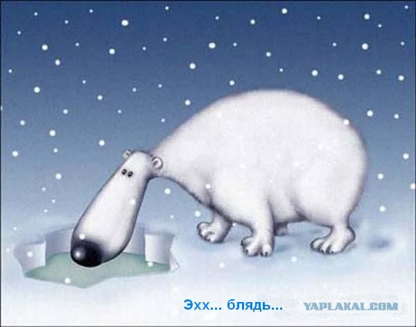 Необычный офис: Чтоб я так работал!