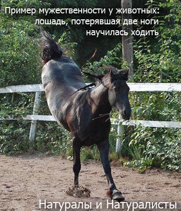 Поддержка и взаимовыручка