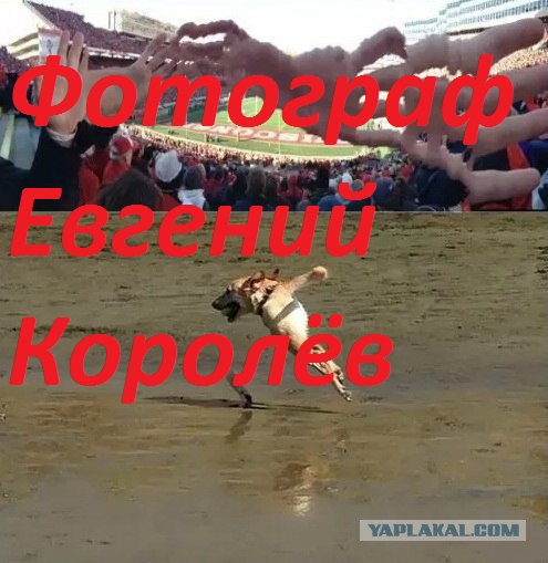 Неудачные панорамные снимки