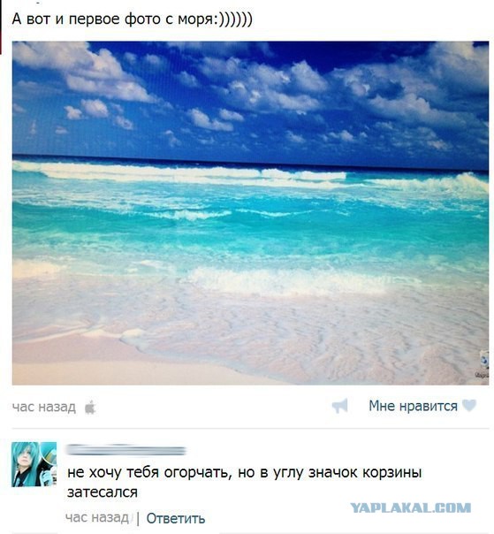 Смешные комментарии из социальных сетей