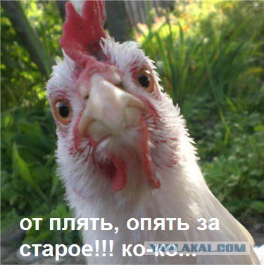 Лишить гражданства России