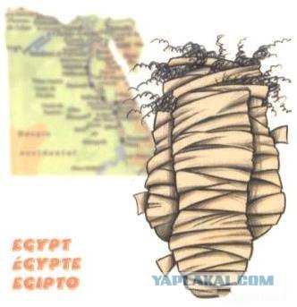 У кого на свете всех длиннее?