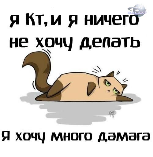 Wargaming 12, WoT сотоварищи