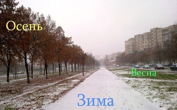 Немного позитива на пятницу.
