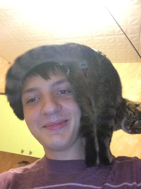 Селфи с котом