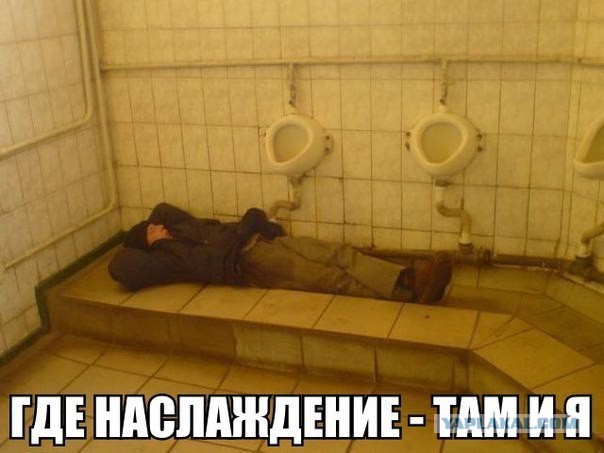 Свежие картинки из сети