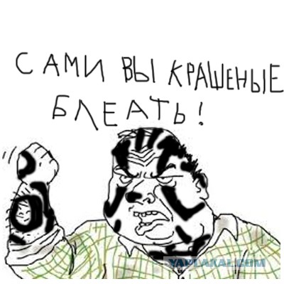 вот это расцветка у кошки! ахринеть!