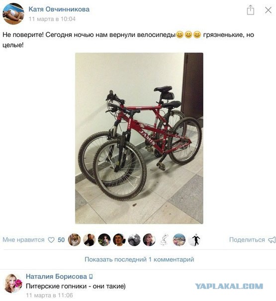Забавные картинки из сети
