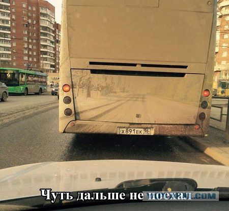 Забавные картинки из Сети