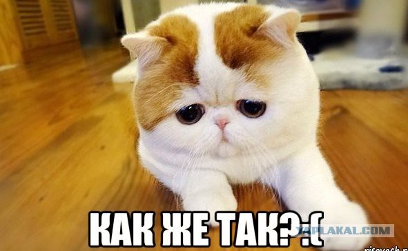 Как выйти замуж с помощью ЯПа!