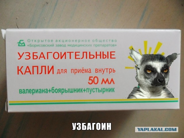 Королевы дорог