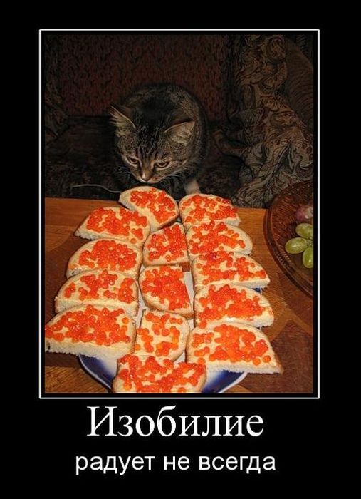 Килька? В томате? Неа... не видел!