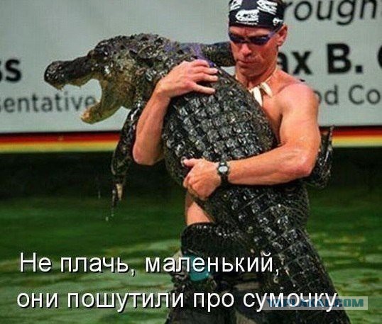 Фотоприколы