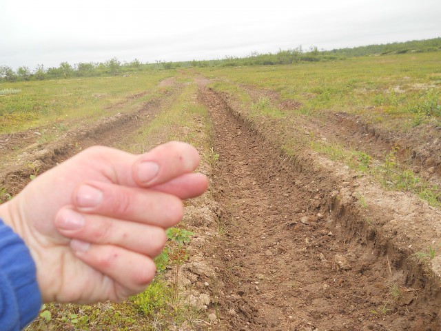 Кольский полуостров.