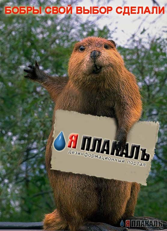 Они молятся за ЯПлакалъ !!!