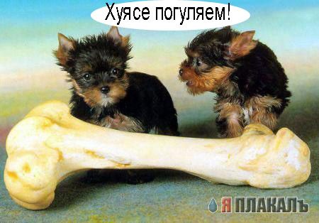 Уже да :) Ужо пятнецца...