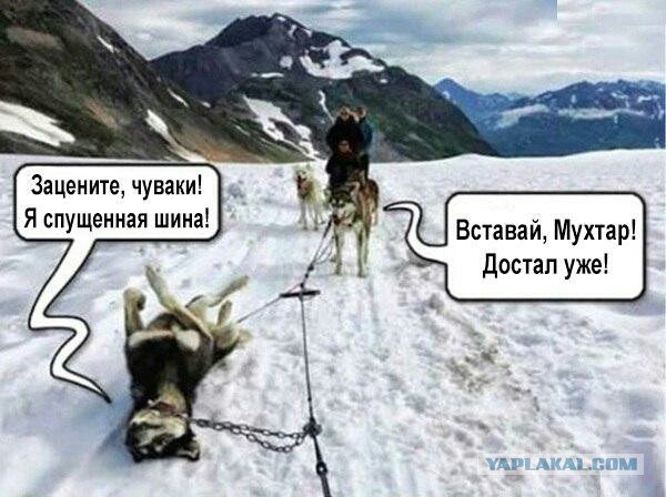 Абсурдный юмор ч.7