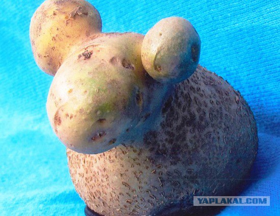 Подборка картинок 17.02.16