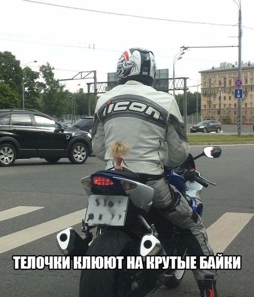 Картинки из сети, бессмысленные и беспощадные