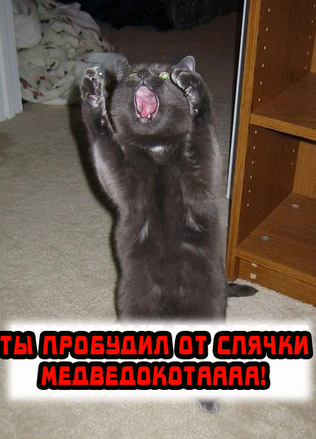 Вторник! Кашаки!