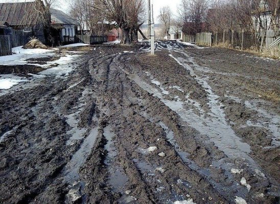 Весёлые картинки