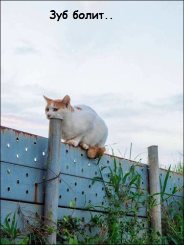 Вроде как показалось ...