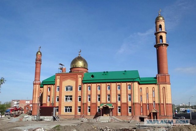 Жители Новосибирска собирают подписи против религиозных шествий в центре города