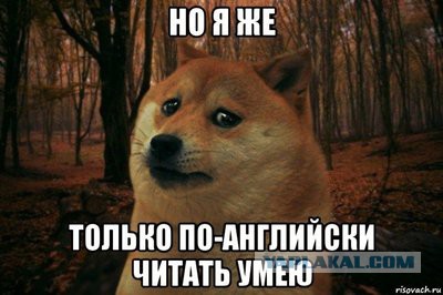 Край дебилизма