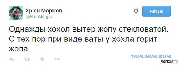 Смешные комментарии из социальных сетей 12.08.2016