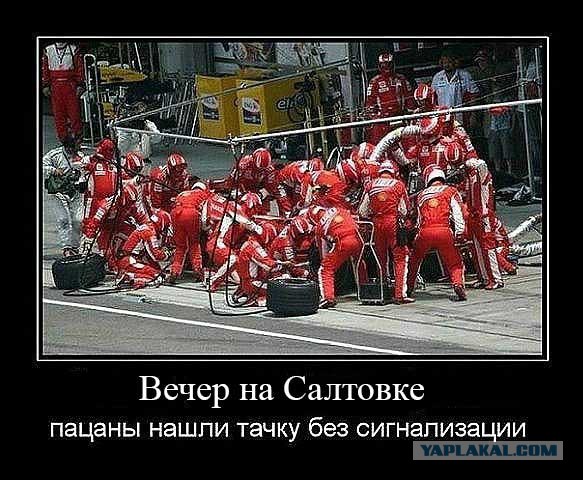 Весёлые картинки 23.11.2016