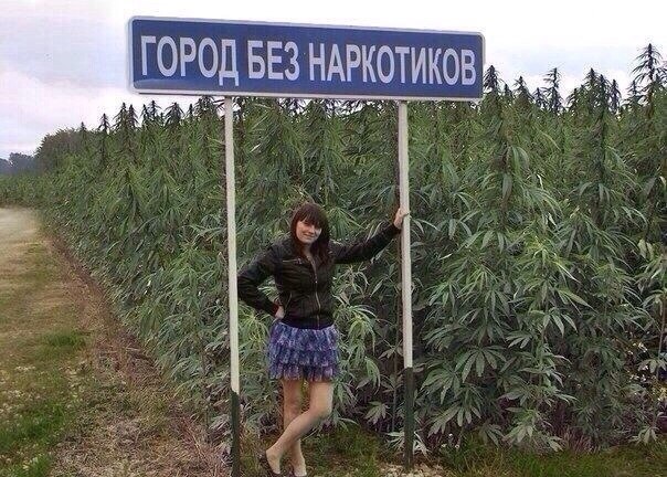 Прикольные картинки из соцсетей