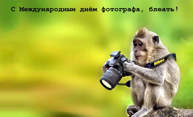 Фото-ассорти на пятницу