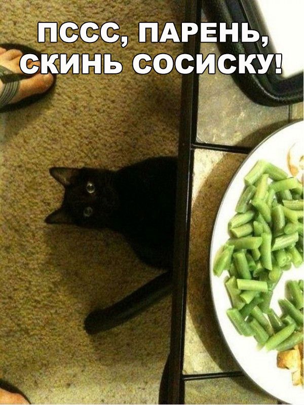 134 картинки для поднятия настроения!