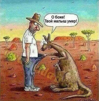 Просто картинки