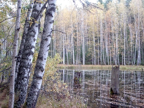 Осень