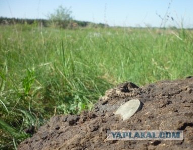Как я перестал быть черным археологом