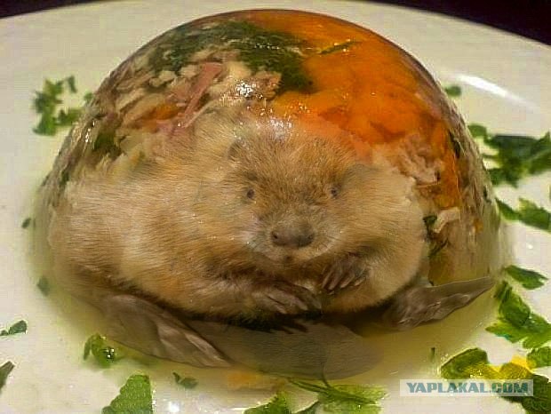 Остановите Землю, я сойду