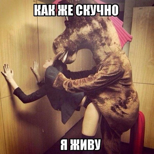 Чудики из социальных сетей