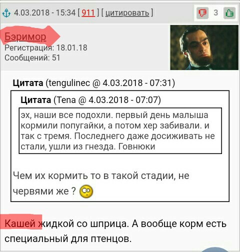 Рождение попугая