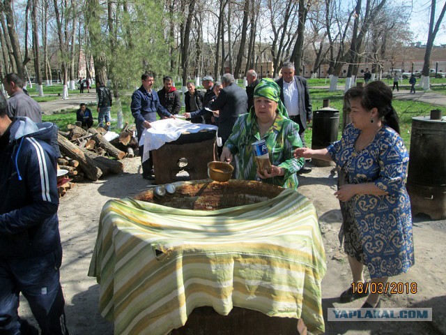 С праздником вас, о прекрасные люди! С Новрузом!