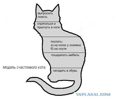 Модель счастливого кота без прикрас