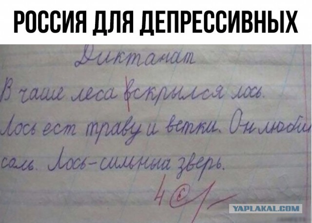Нестандартный юмор