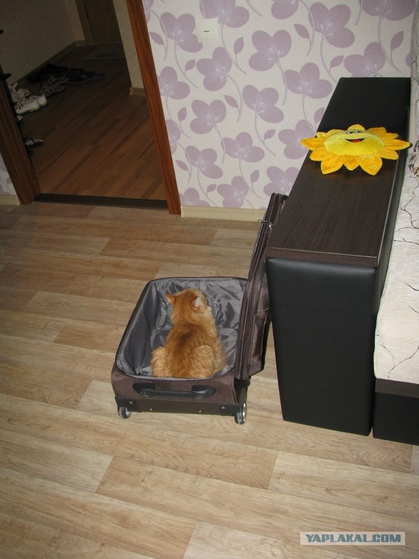 А ты готов к отпуску?