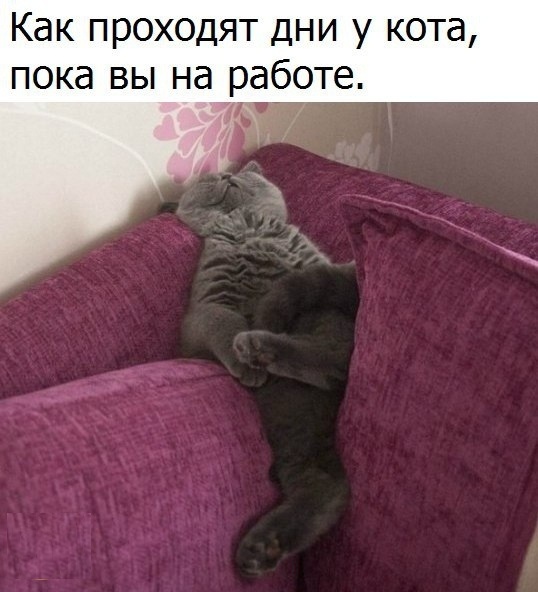 Борщ из картинок, людей, приколов, чуток боянов и всякого такого